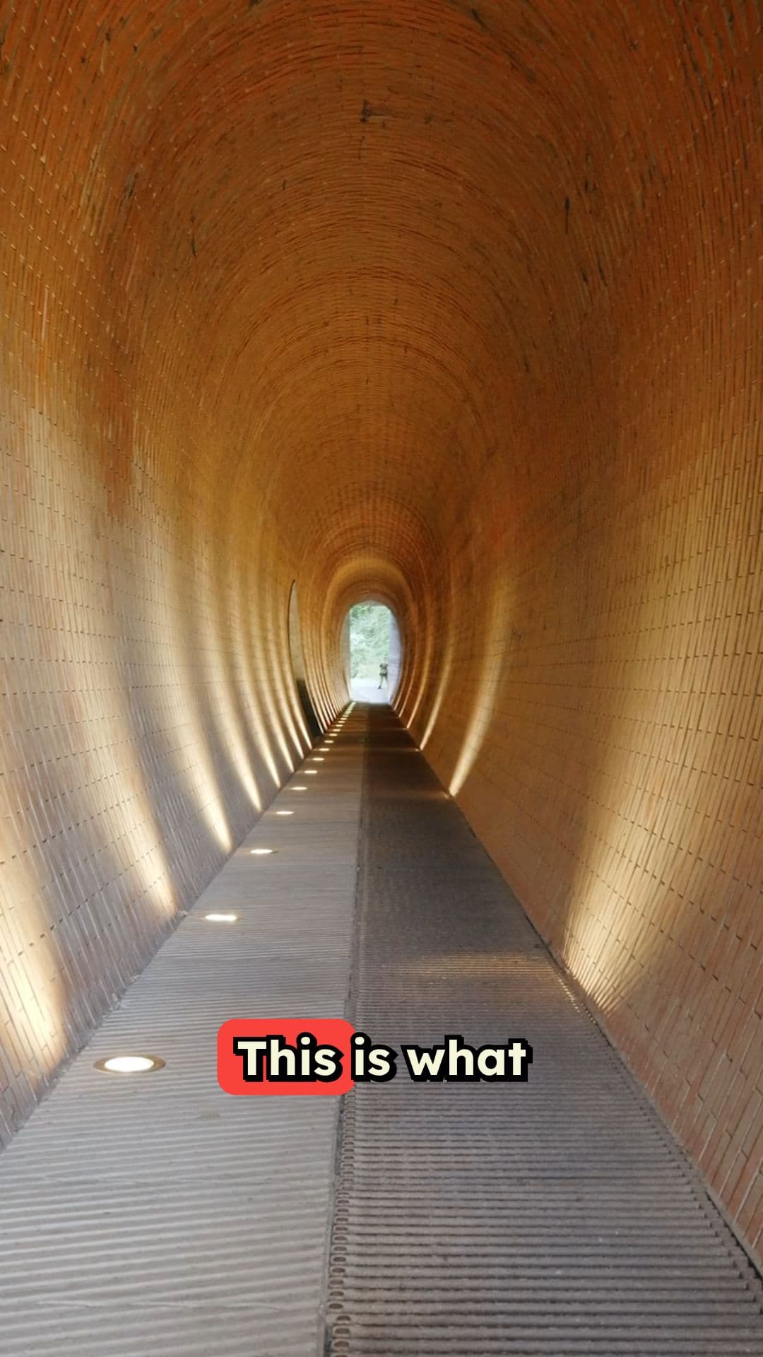 K-12 Education in 2050