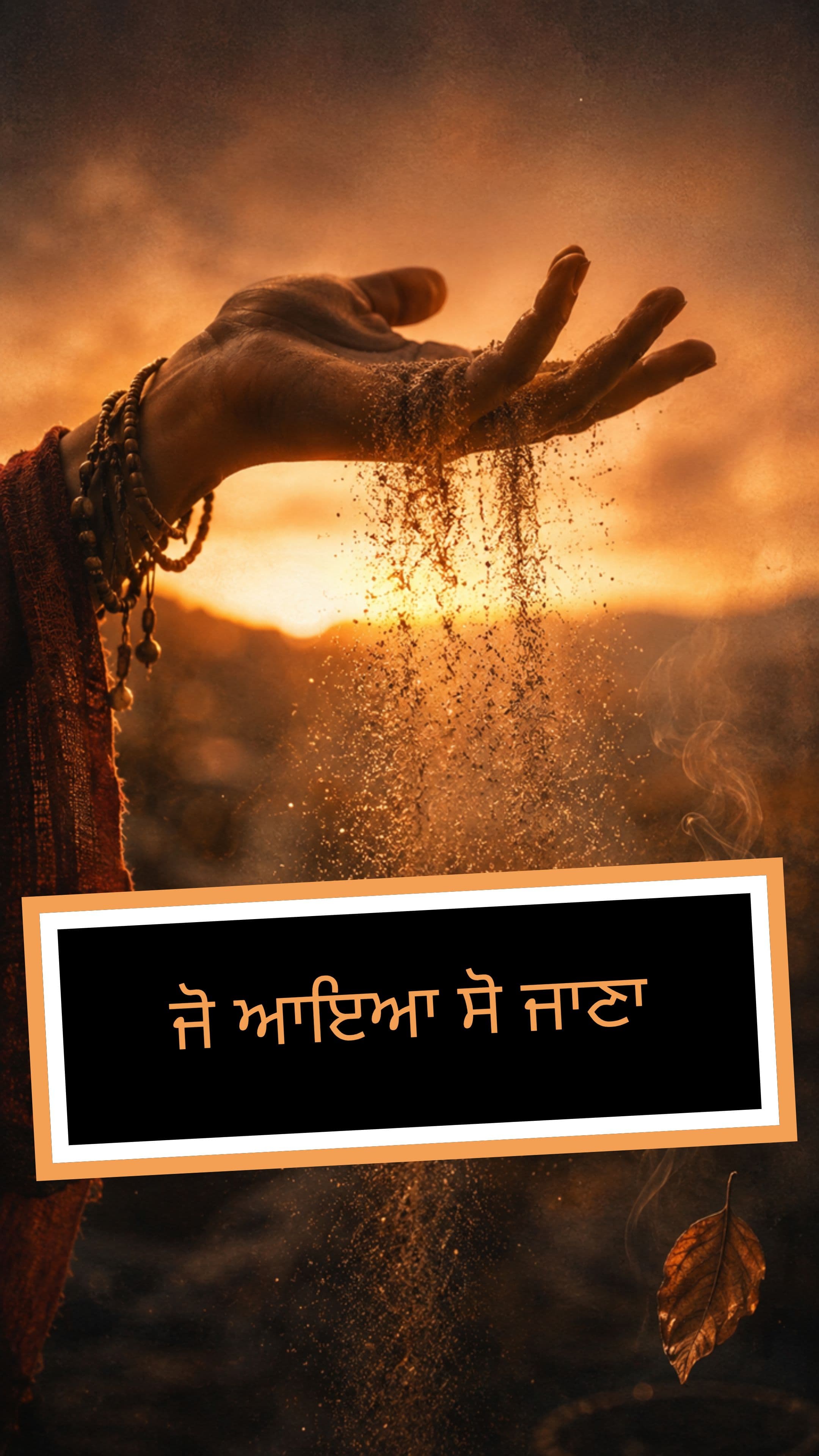 ਜੋ ਆਇਆ ਸੋ ਜਾਣਾ
