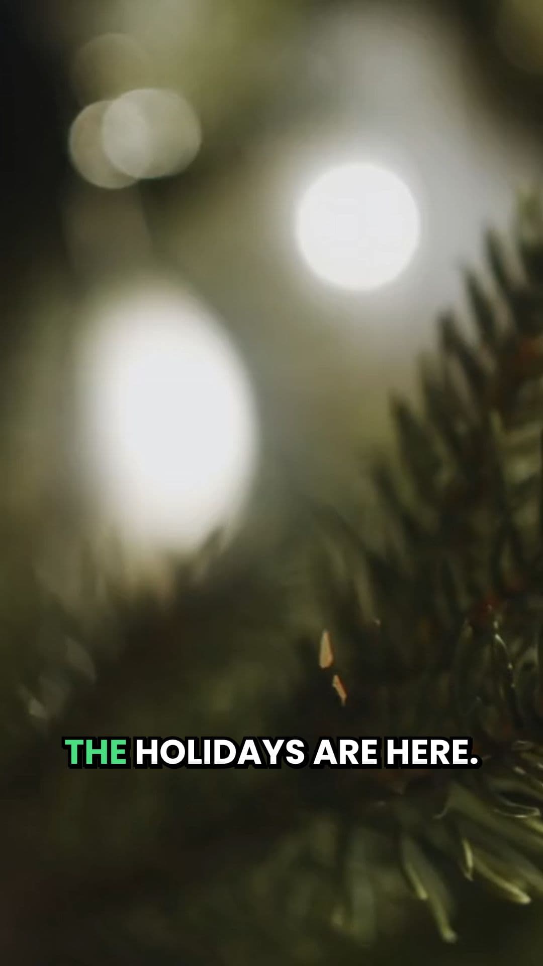 Plumbing Holiday Special Ad