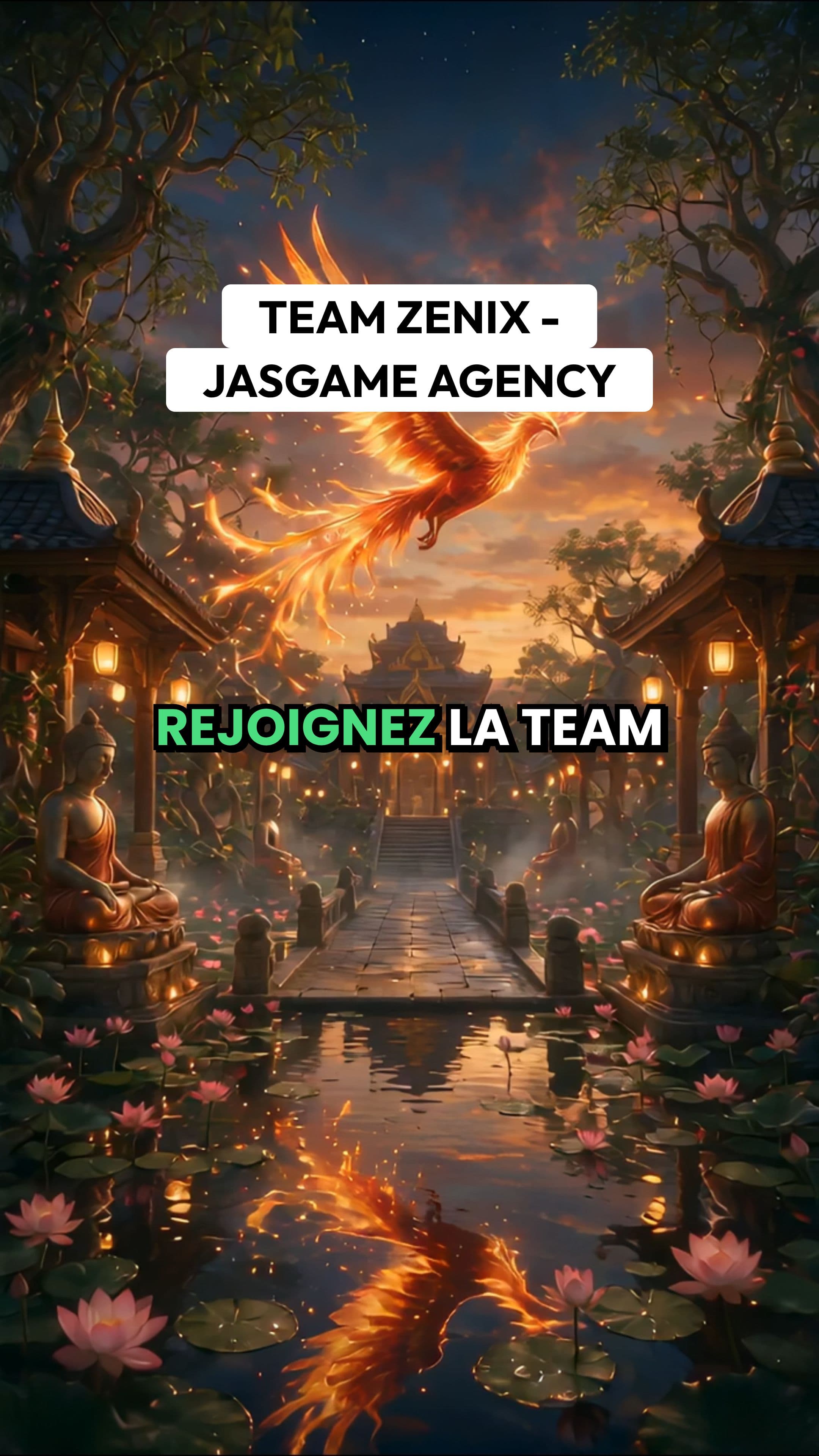 Team Zenix - Recrutement Streamers TikTok