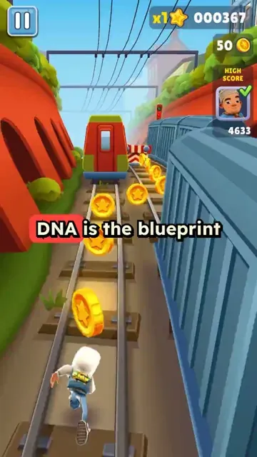 Viral Subway Surfers Background Videos