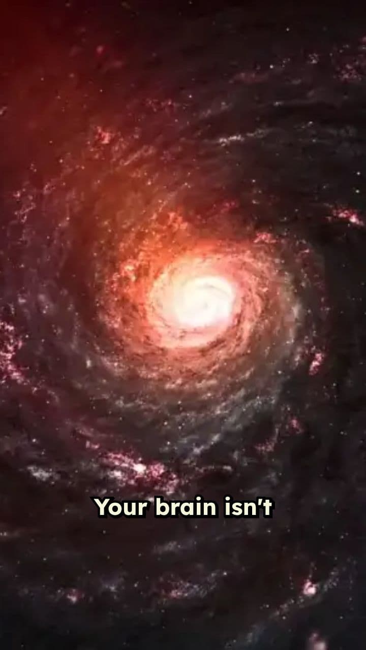 The Illusion of Reality