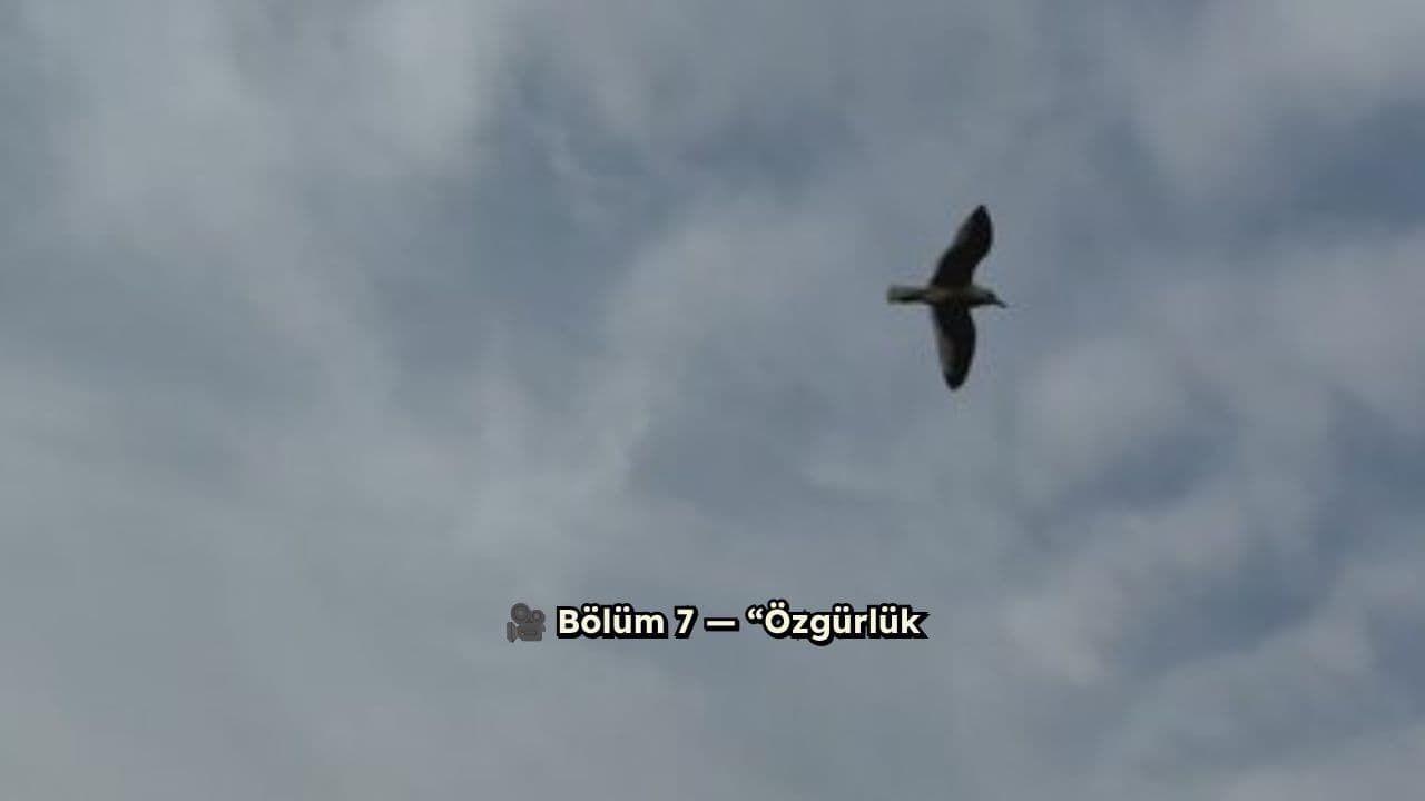 Özgürlük ve Sorumluluk Üzerine Düşünceler