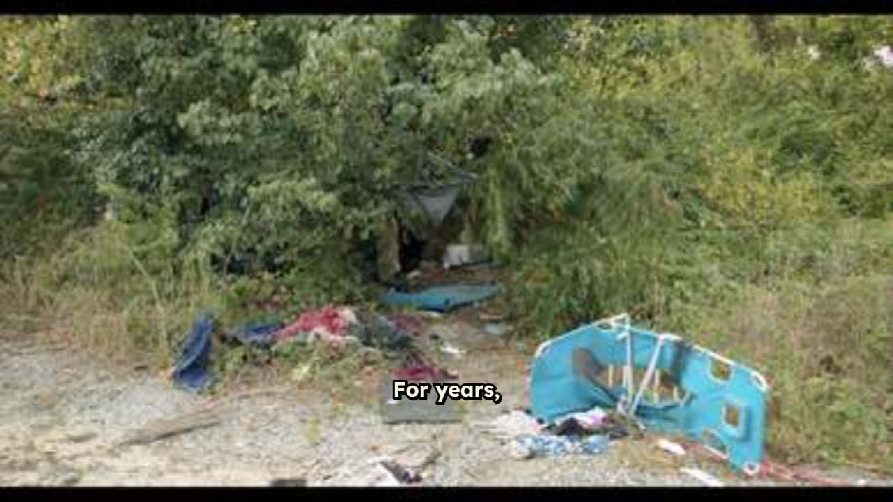 Healthy Habits That Changed My Life