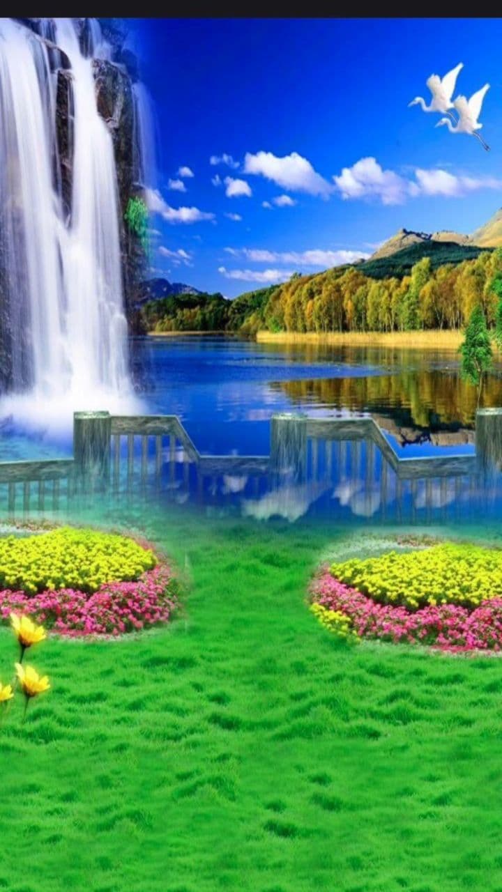 Pomegranate Fall and Break Animation