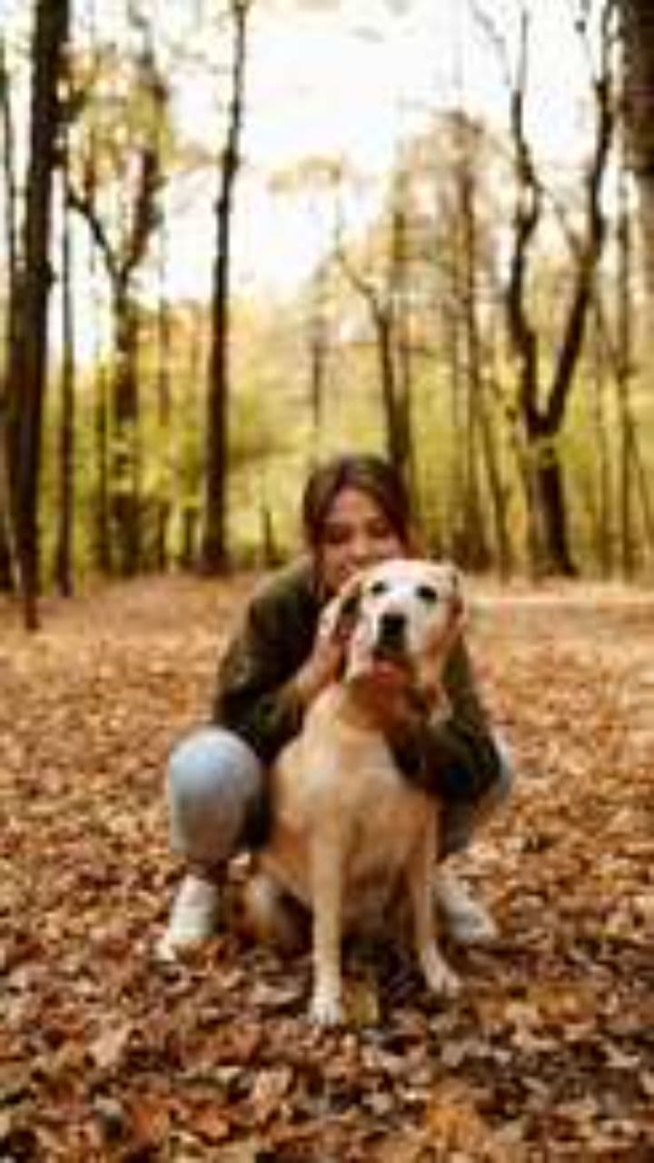 How Dogs Sense Your Sadness