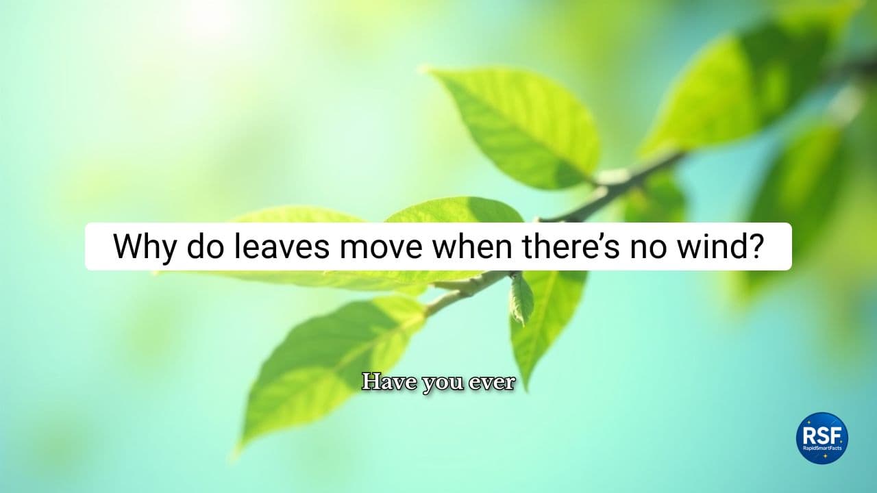 Why Do Leaves Move Even When There’s No Wind? | RapidSmartFacts