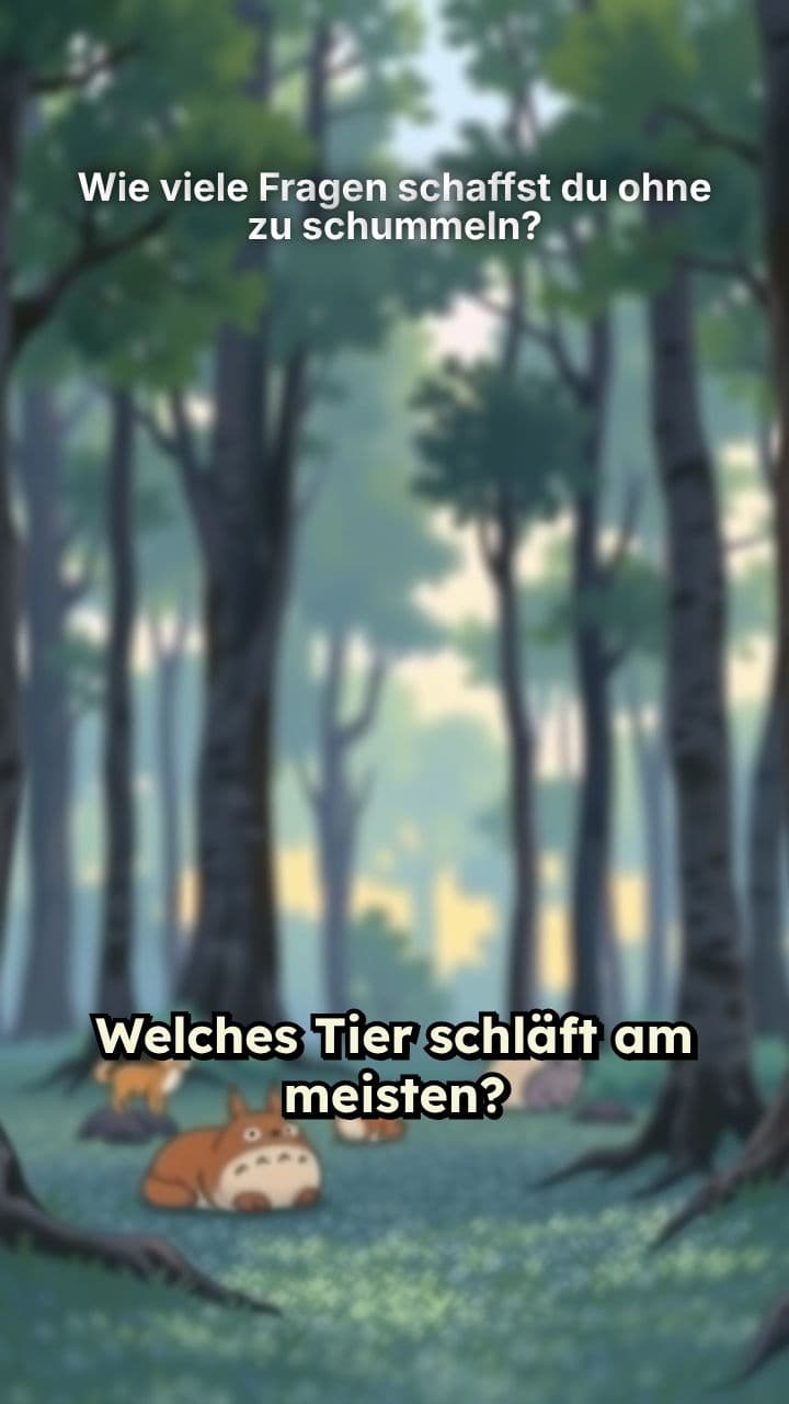 Wie viele Fragen schaffst du ohne zu schummeln?