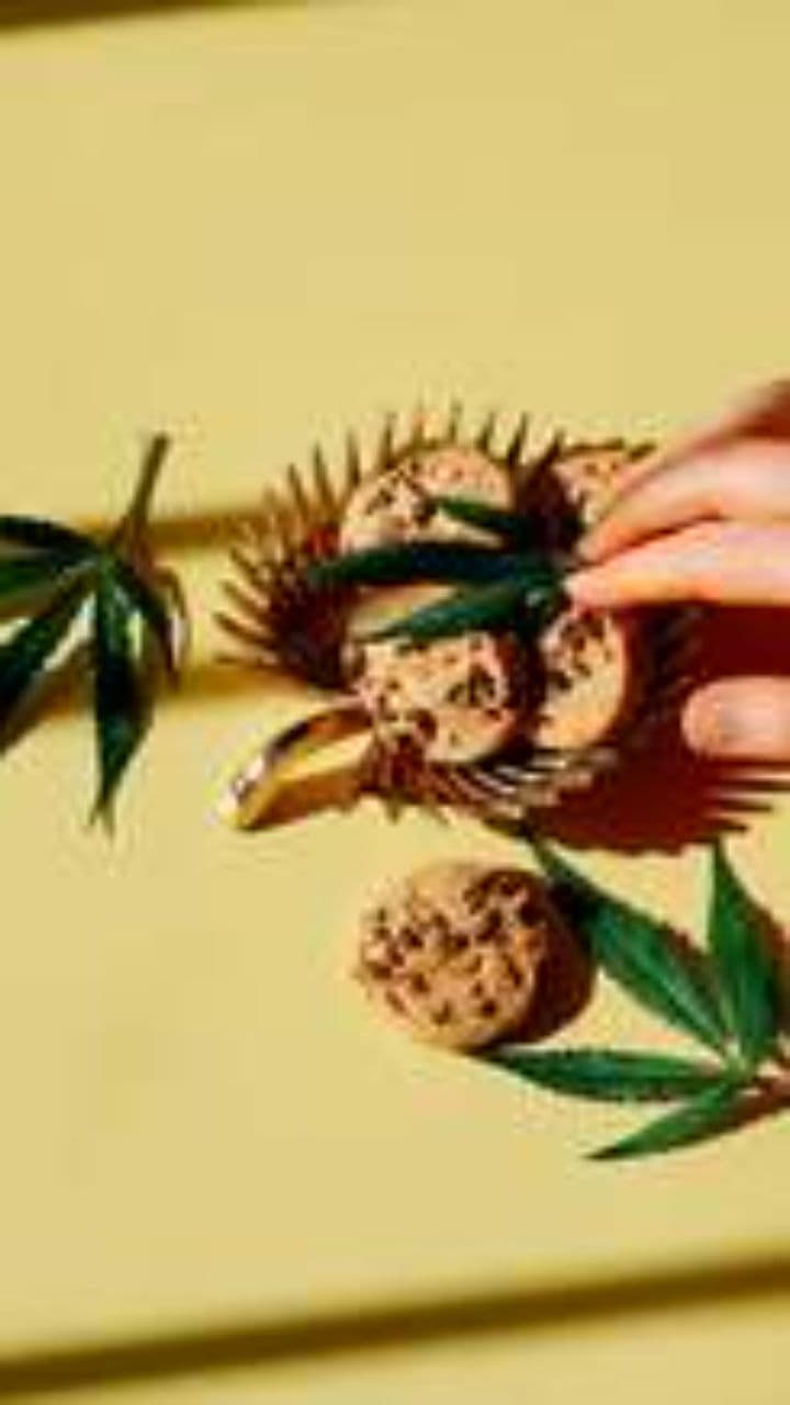 The Accidental Invention of Chocolate Chip Cookies