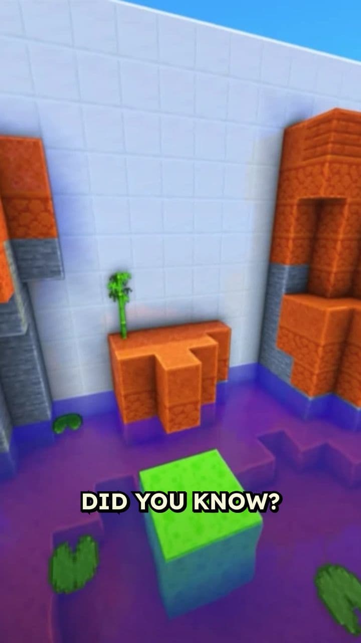 Fascinating Facts You Didn't Know