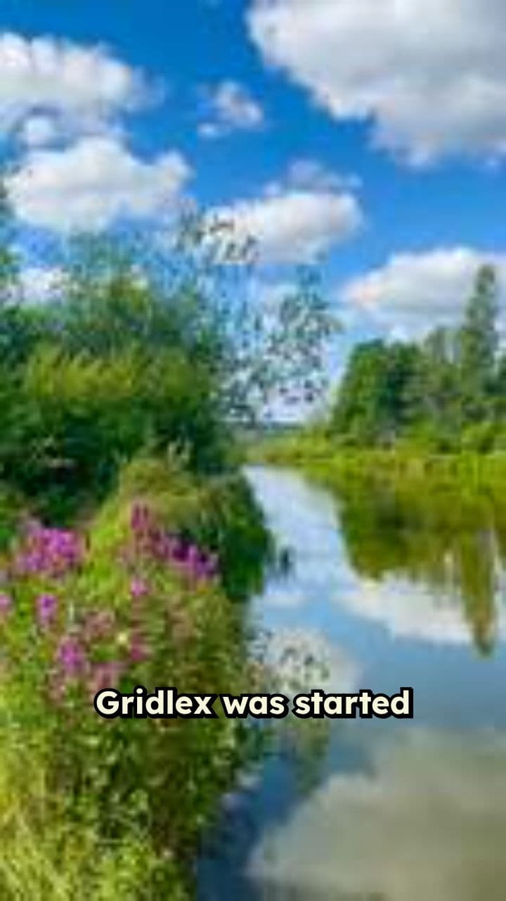 Gridlix Integrated CRM Services Overview