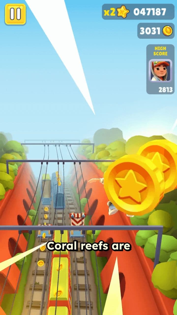 Coral Reefs: A Dying Ecosystem