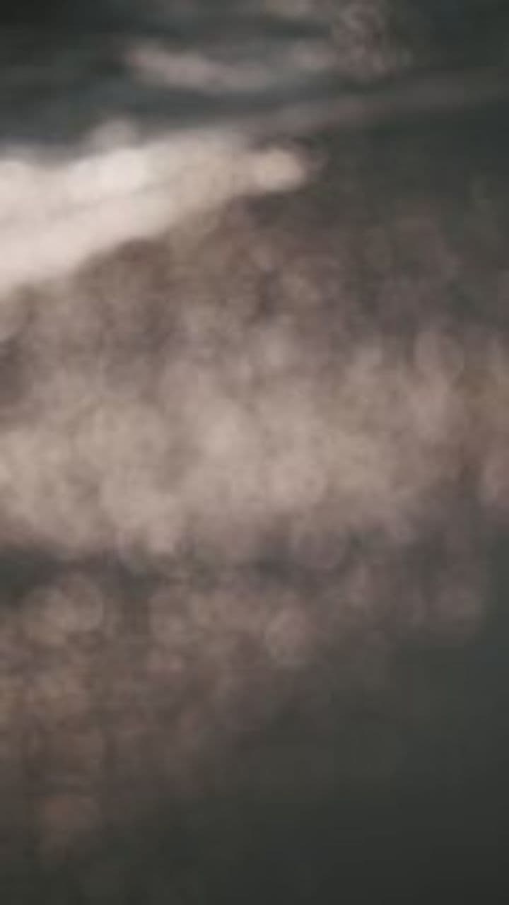 Hơn Mười Mùa Tết Xa Mẹ