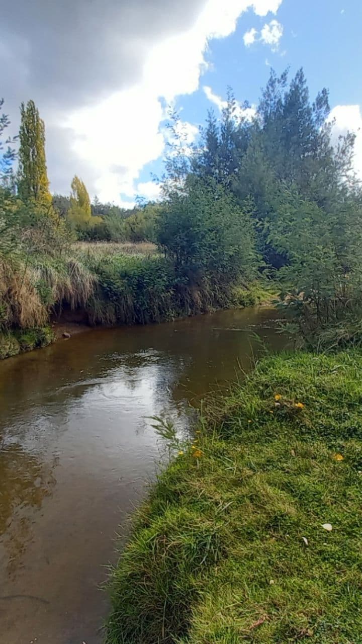 Recuerdos que cobran vida en arte