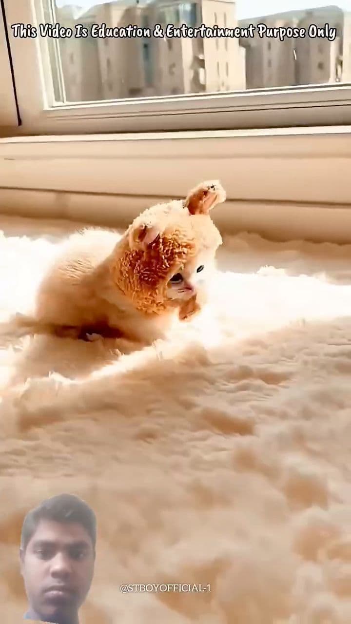 कीड़े ने बनाया करोड़पति