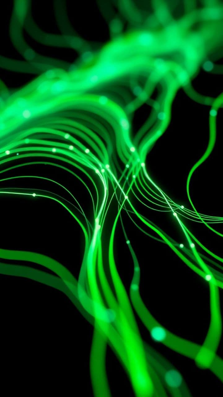 Captain Jack's Railroad Track Run