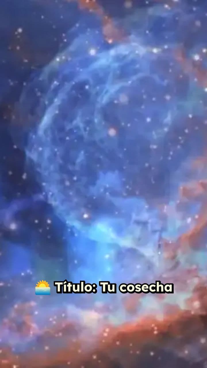 Fidelidad diaria, cosecha abundante