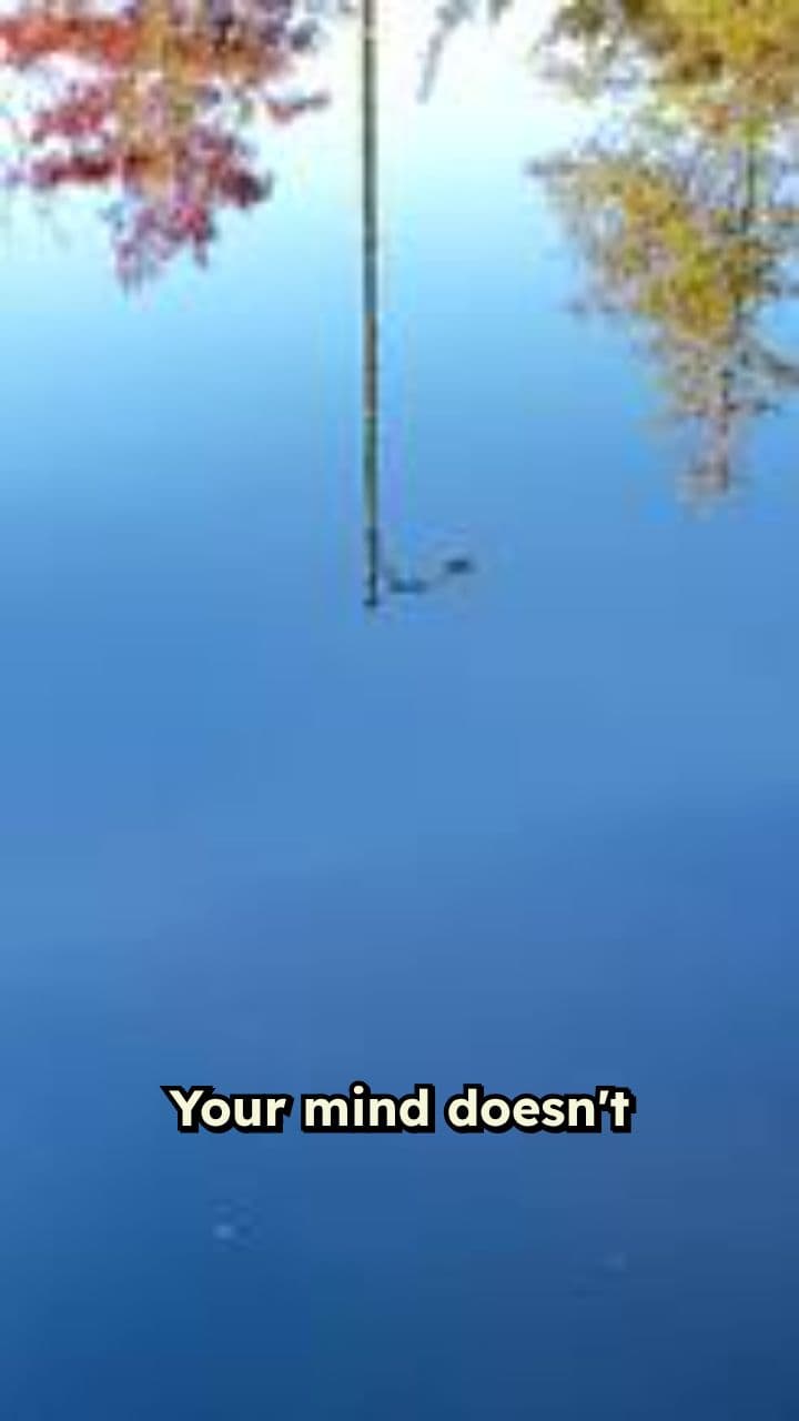 Understanding Your Mind