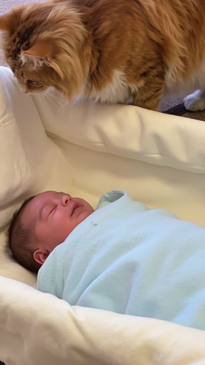 Deux âmes, une seule tendresse