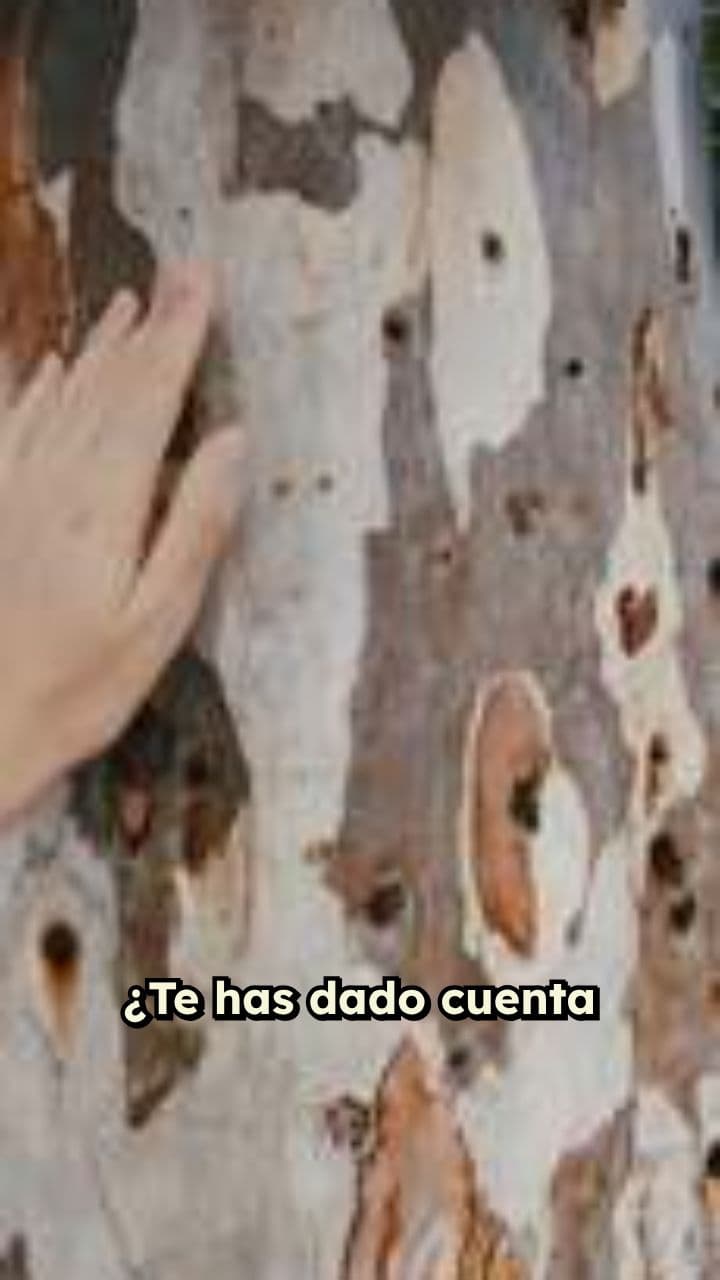 Recupera tu vitalidad natural