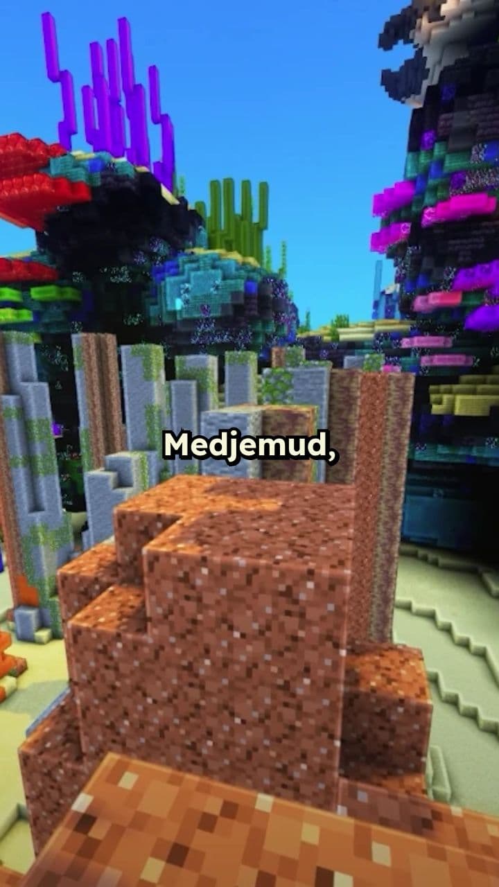 Medjemud 3