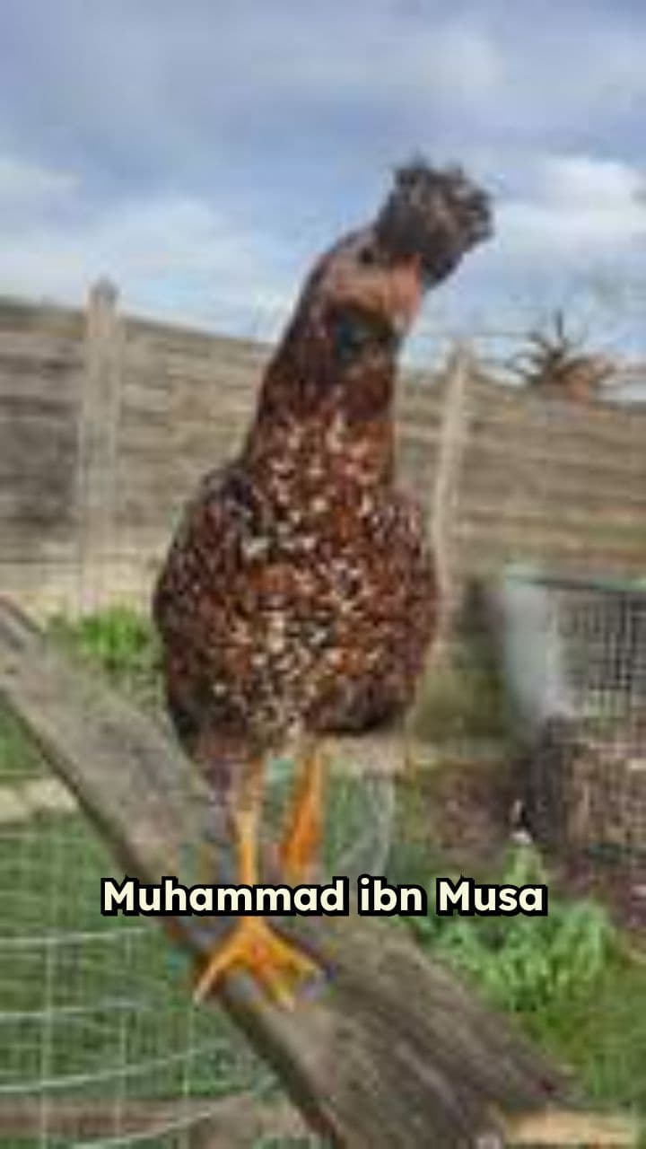 Al-Khwarizmi: Father of Algebra and Algorithms