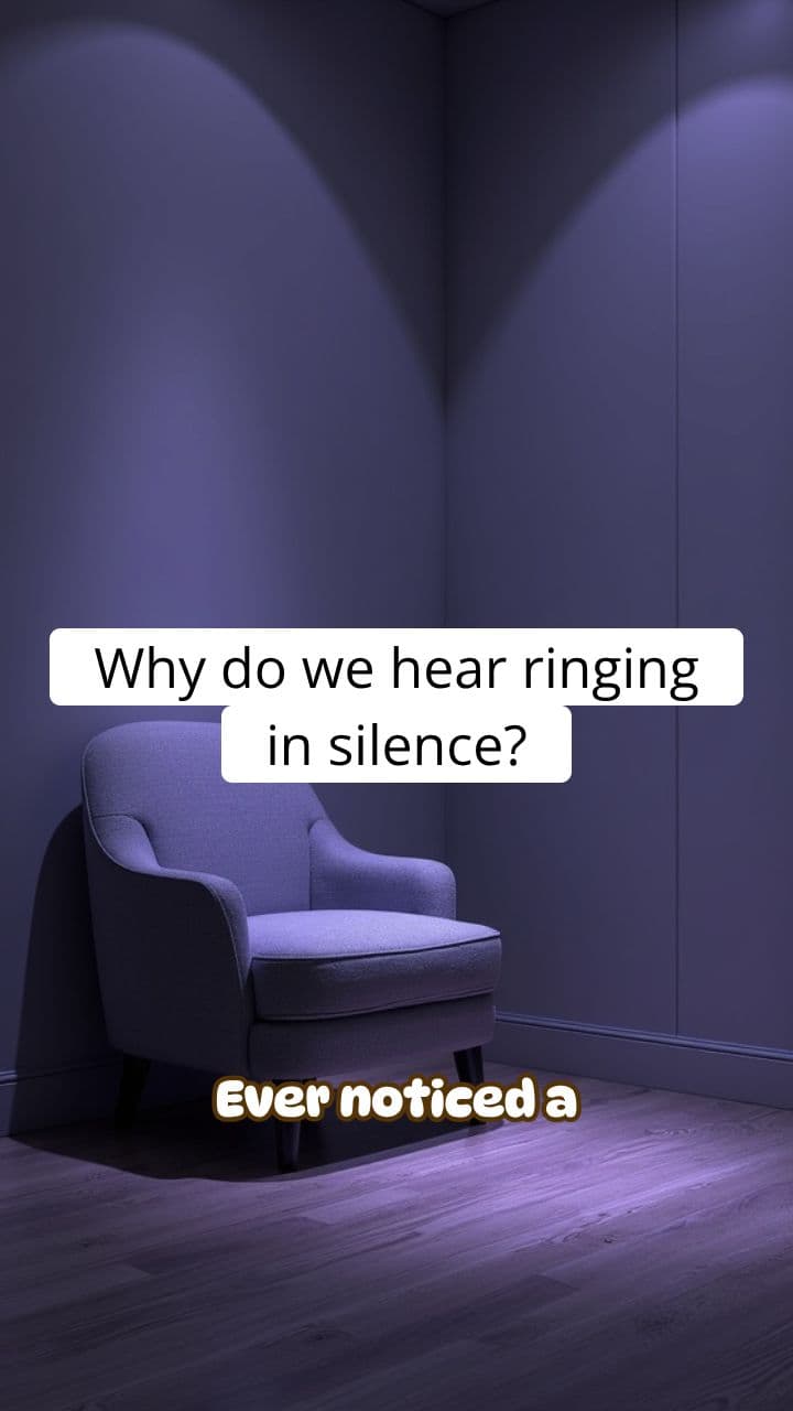 Why Do We Hear Ringing in Silence? | RapidSmartFacts
