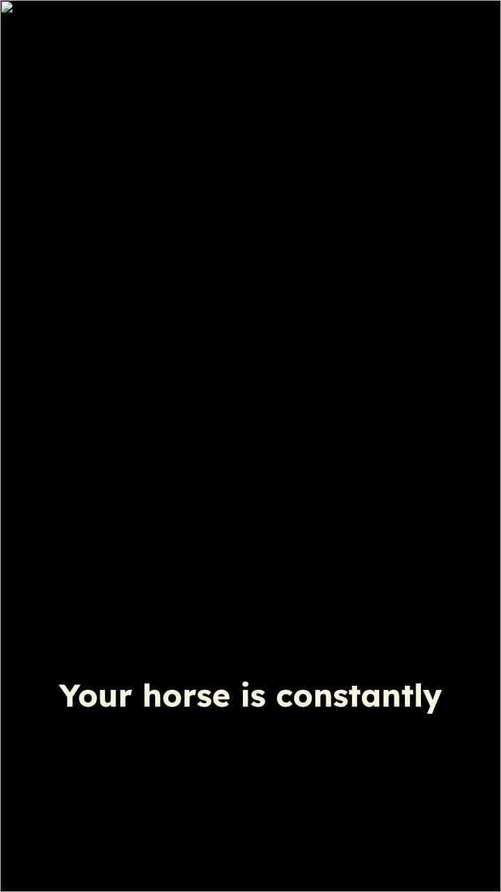 The Hidden Challenges of Horse Care