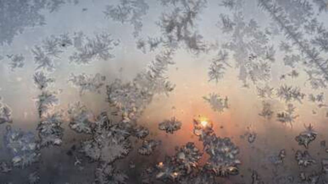 We Thrive with I-M-P-A-C-T