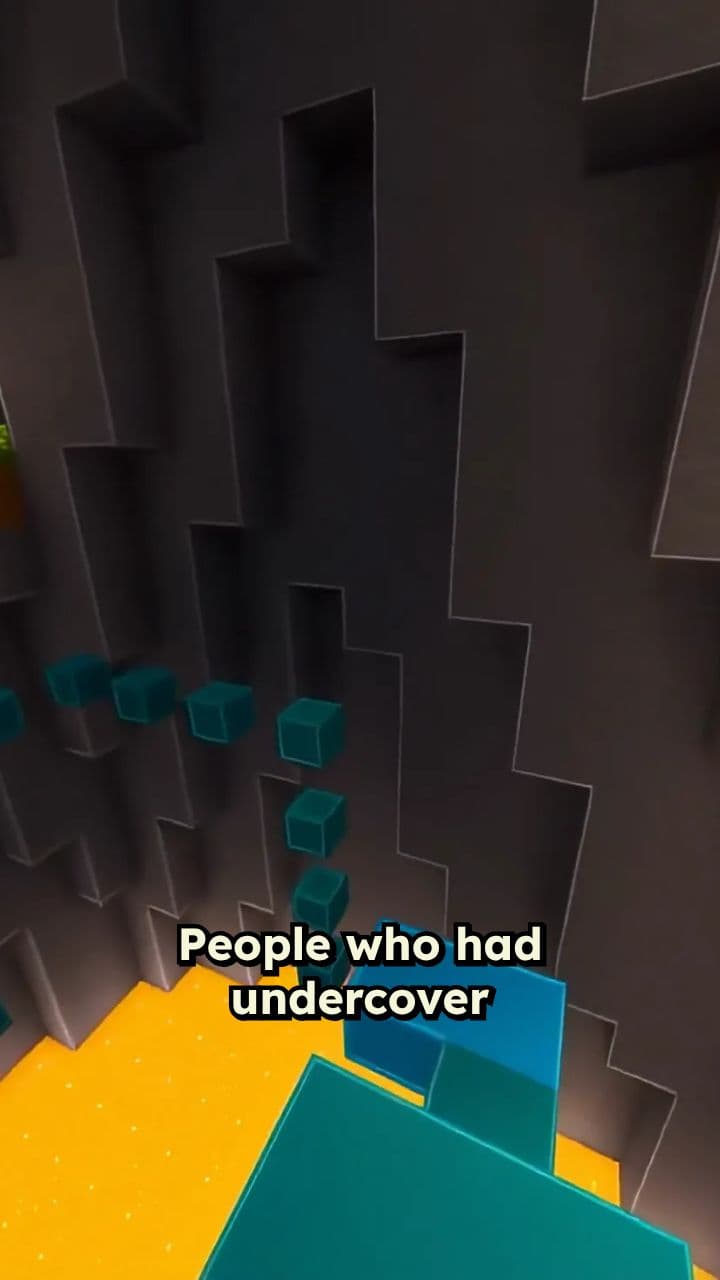 The Mysterious Transfer Student Bob