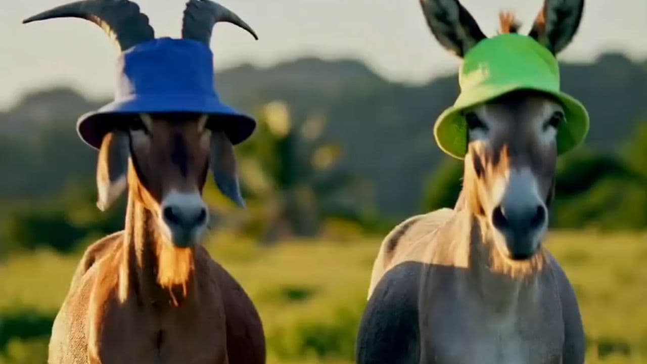 Tight Vibe on the Dance Floor