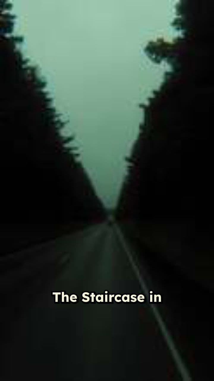 The Stairs in the Woods