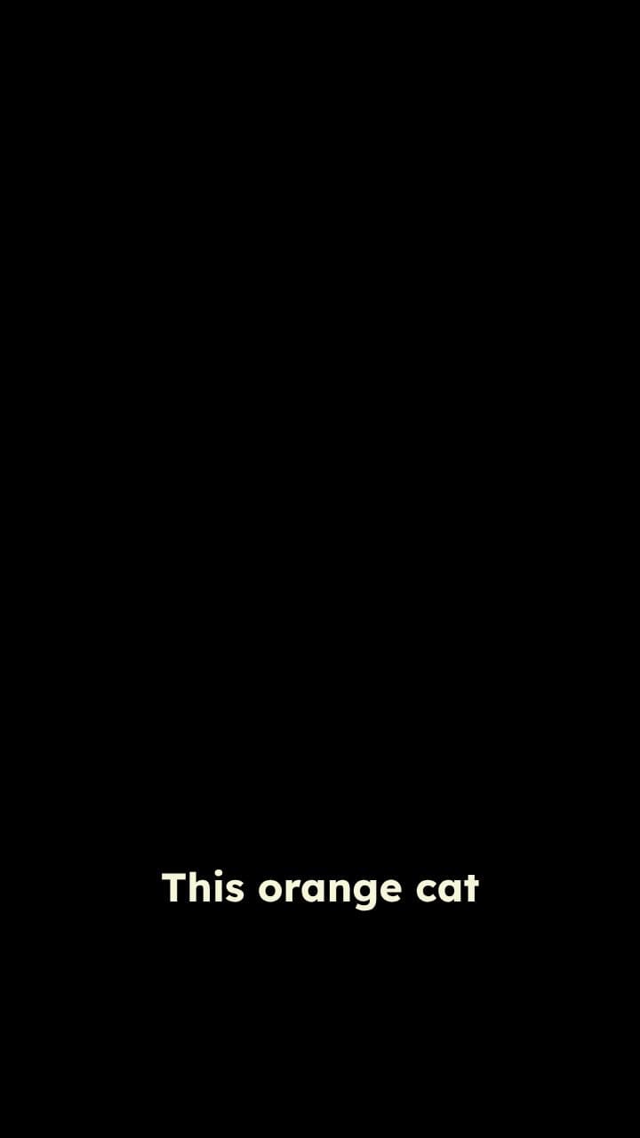 Treasure Chest Chaos in the Mud