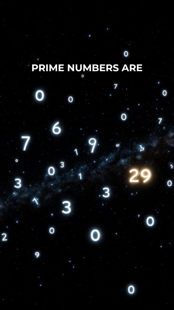 The Quest for the Largest Prime Number