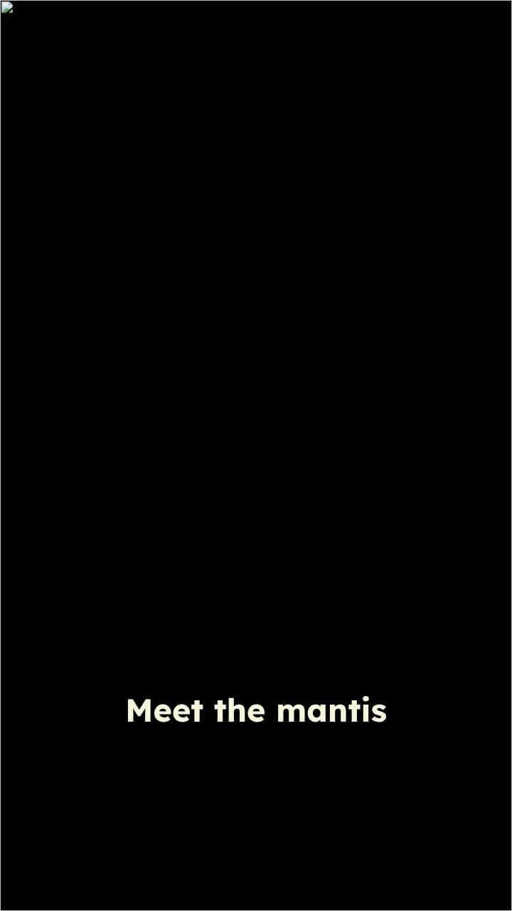 The Incredible Mantis Shrimp