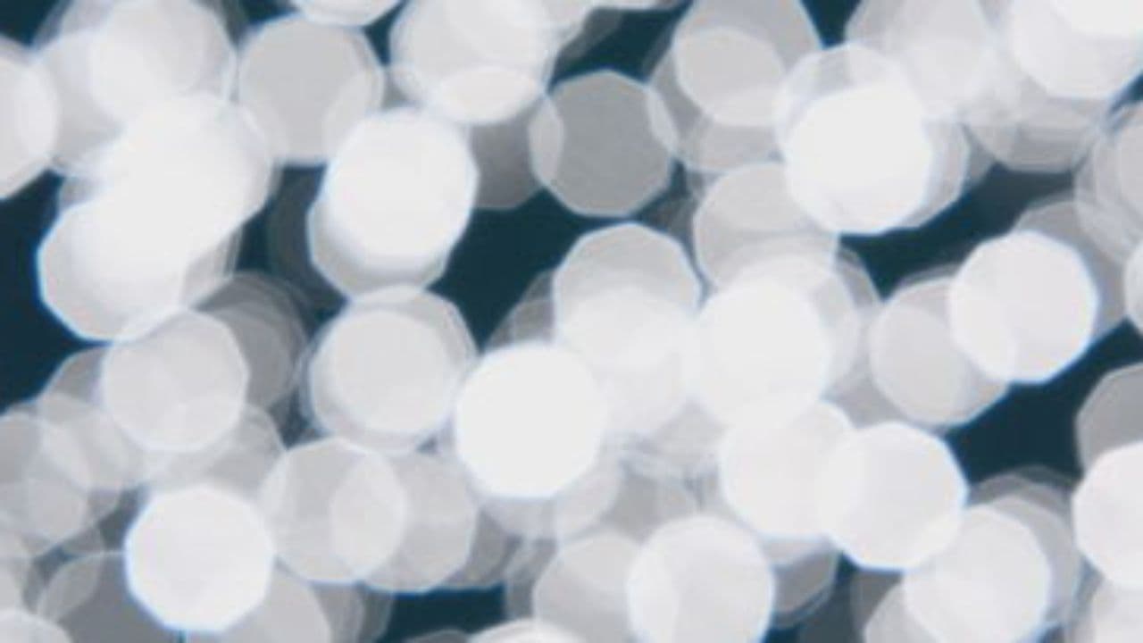 Guiding AI for Humanity's Future