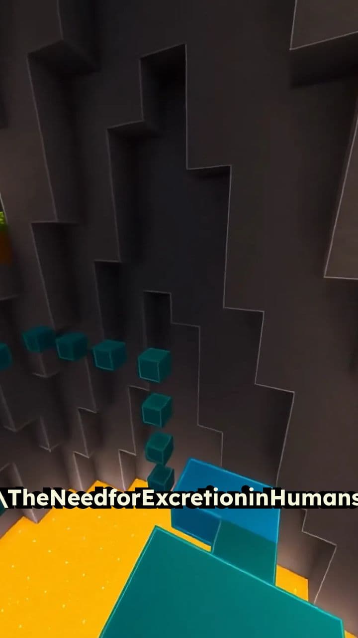 The Need for Excretion in Humans