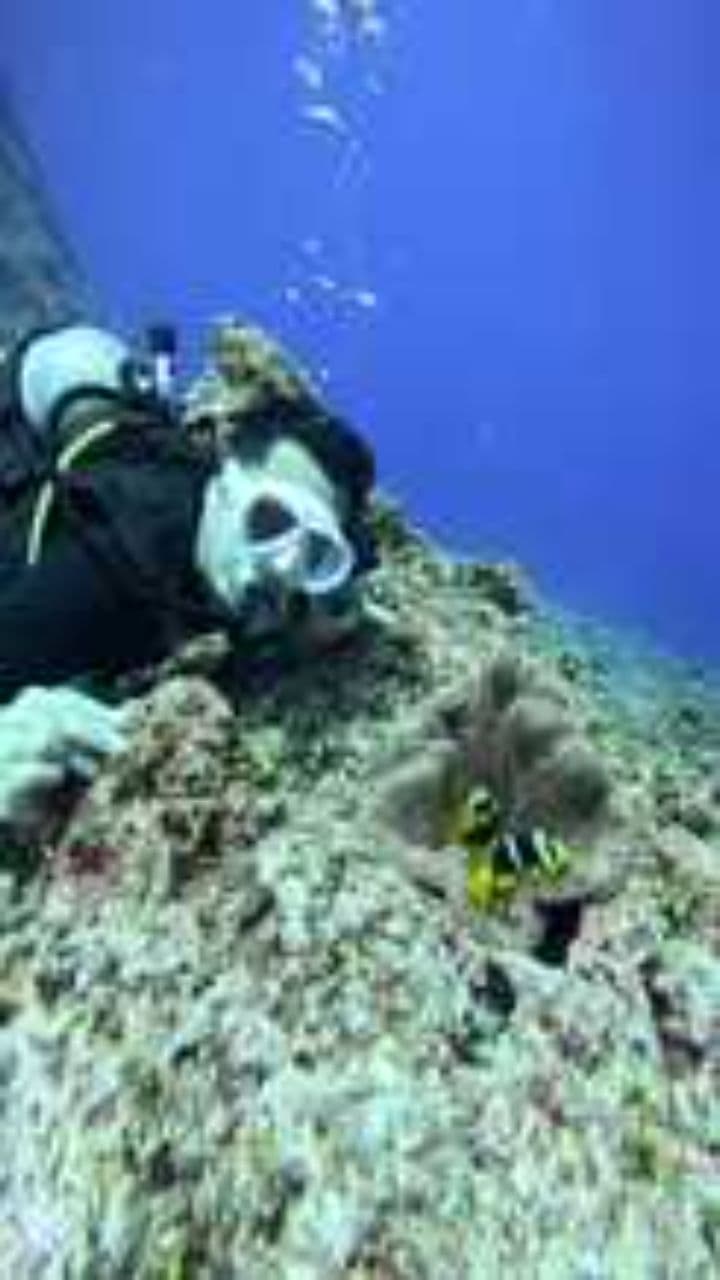 The Diver Who Cheated Death