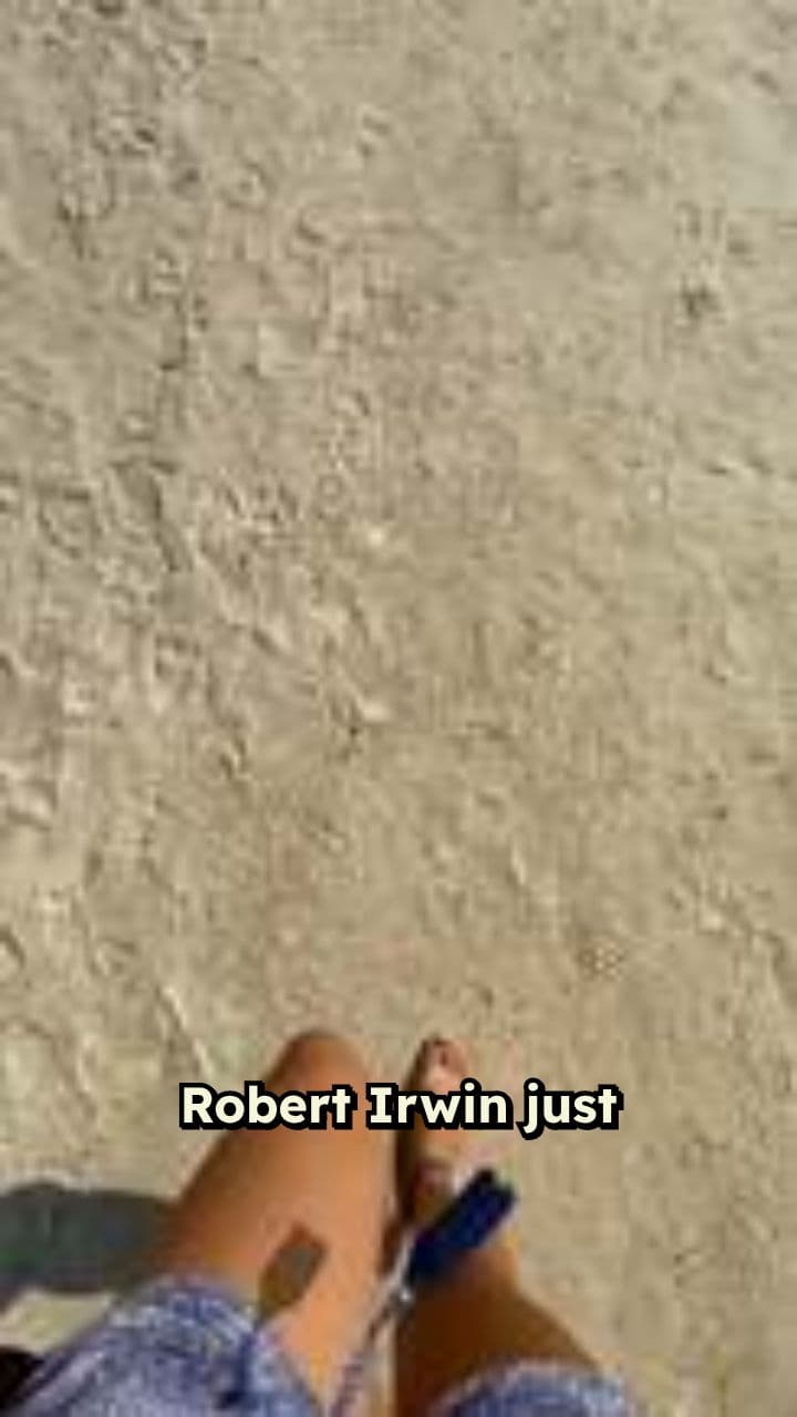 Robert Irwin: A Rising Star