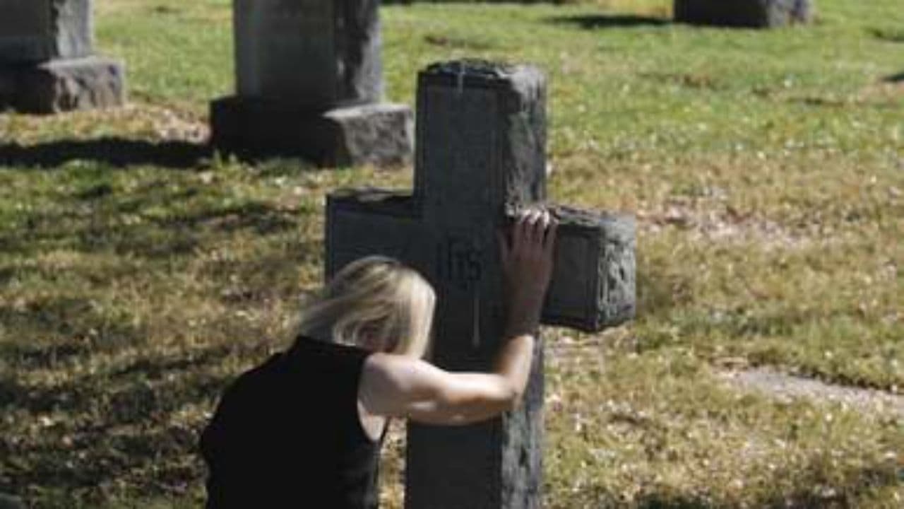 Moje cesta je my way