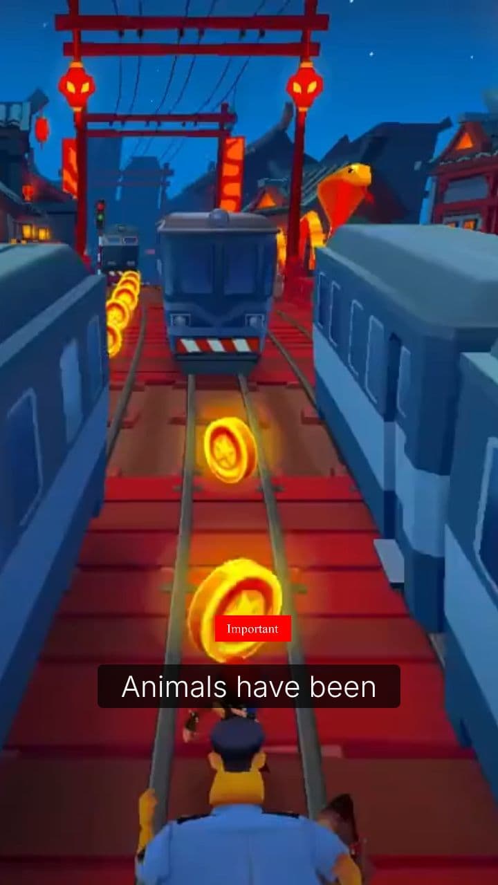 Animals: Nature's Early Warning System