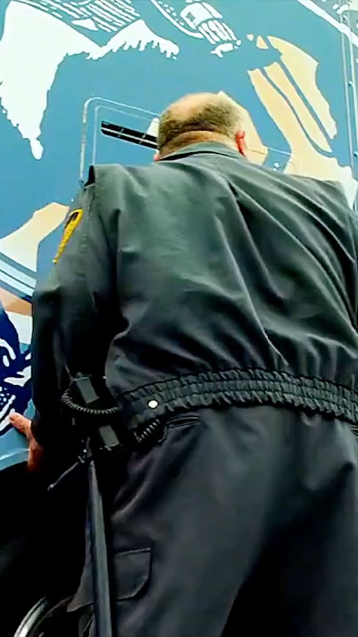 Ingenious Boy Stops Train for a Free Ride