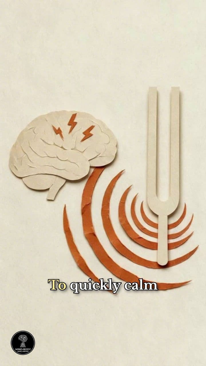 Vagus Nerve Humming Reset - Paper Collage Explainer