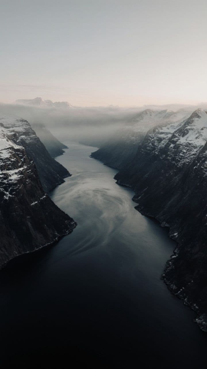 Blood of the Wild Ones