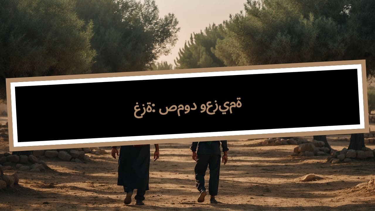 غزة: صمود وعزيمة