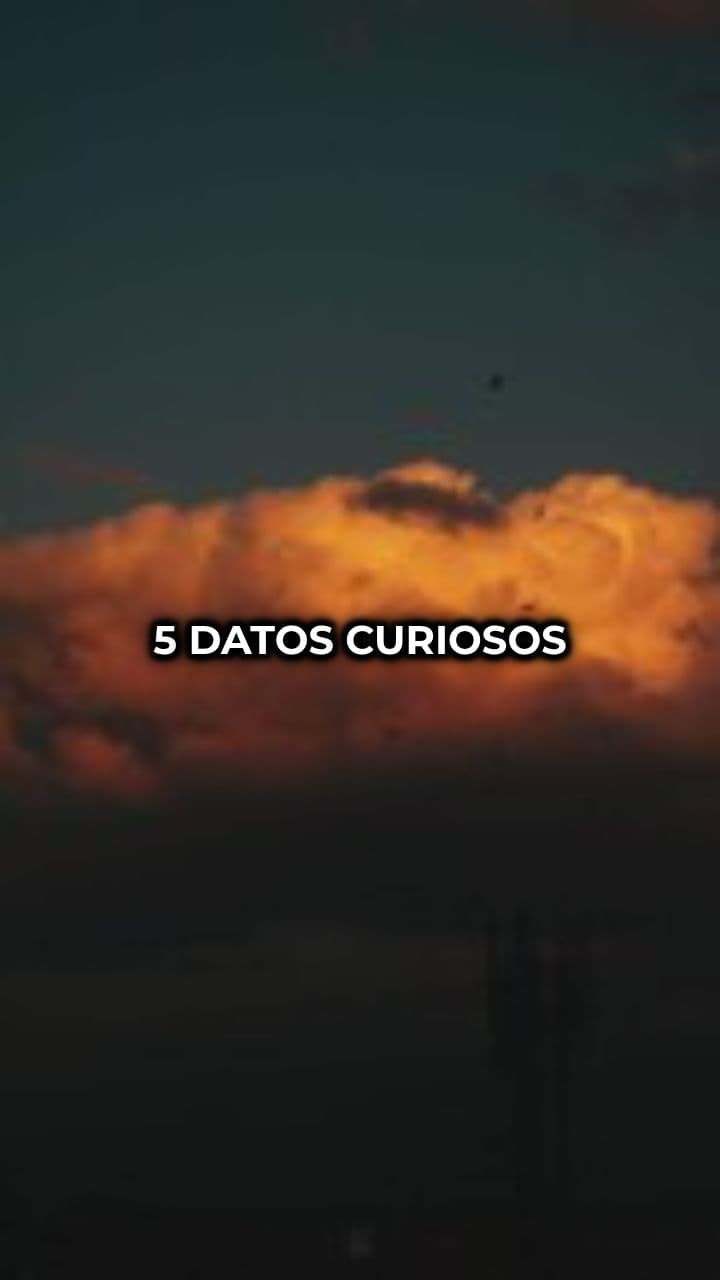 Datos curiosos sobre el mundo y la vida