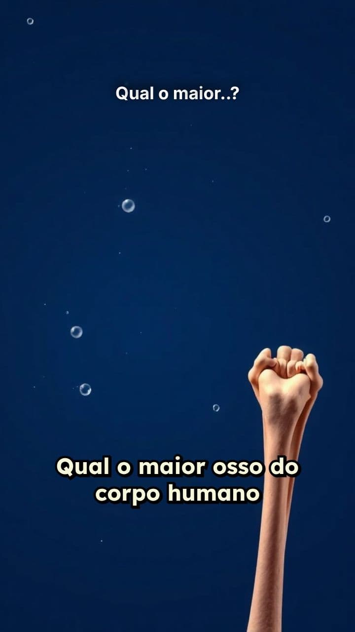 Qual o maior..?